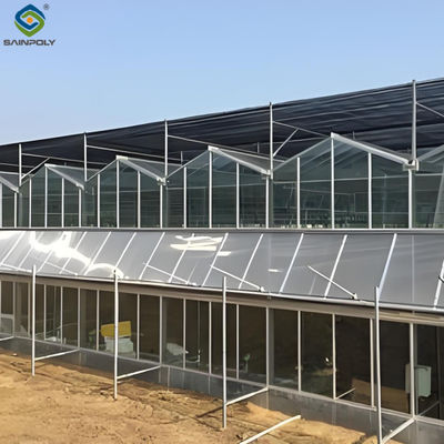 Agricultural Venlo Commercial Glass Greenhouse Width 9.6m With Hydroponic System