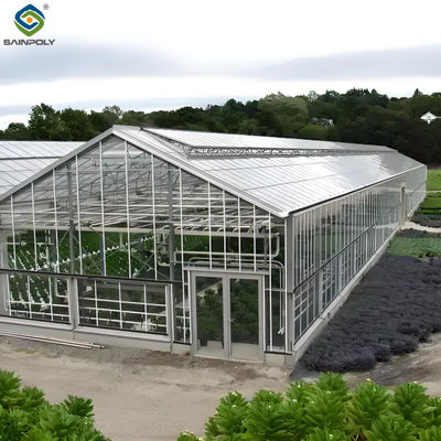 Agricultural Venlo Commercial Glass Greenhouse Width 9.6m With Hydroponic System