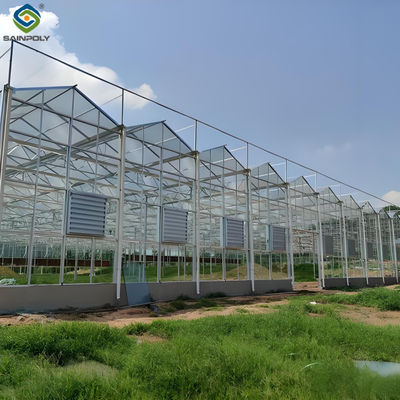 Modern Venlo Glass Greenhouse Plant Tomato Cucumbers High Wind Resistance
