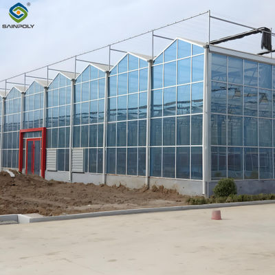 Modern Venlo Glass Greenhouse Plant Tomato Cucumbers High Wind Resistance