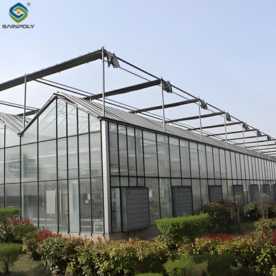 Modern Venlo Glass Greenhouse Plant Tomato Cucumbers High Wind Resistance