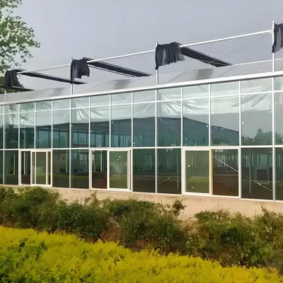 Venlo Glass Greenhouse for Cucumber Substrate Culture