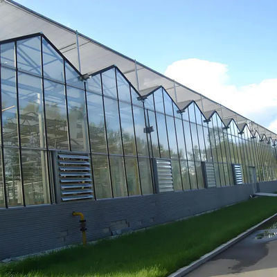 Energy - Efficient Venlo Glass Greenhouse for Pepper Hydroponics