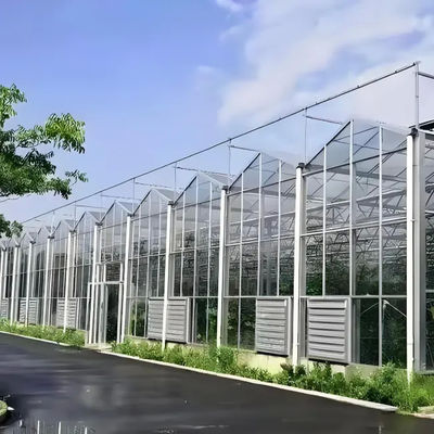 Stable Venlo Glass Greenhouse for Bell  Lily Cultivation