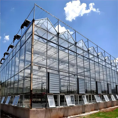 Multi Span Venlo Style Greenhouse with Hydroponic Growing System Agriculture Equipment Intelligent systems