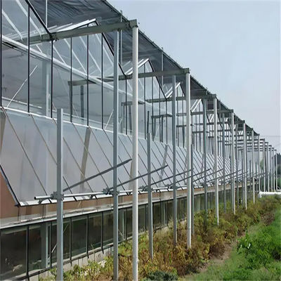 New Products Intelligent Modern systems Farming Venlo Greenhouse Structure design