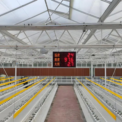Large - Scale Venlo Glass Greenhouse for Melon Farming