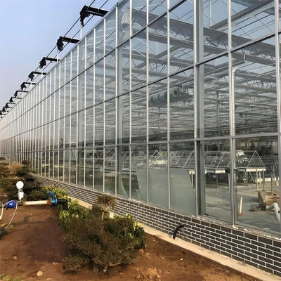 Commercial Automated agriculture Venlo style Greenhouse Invernadero Dutch type