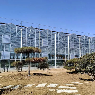 Venlo Glass Greenhouse for Eggplant Planting with Energy - Saving Design