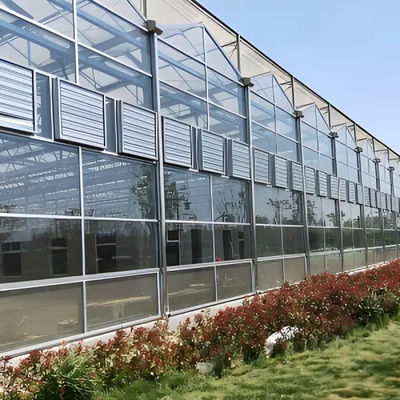 Professional Commercial Greenhouse Venlo Greenhouse Structure for planting with Smart systems