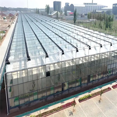 Venlo Glass Greenhouse for Lettuce Hydroponics Stable Structure