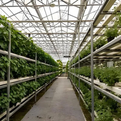 Professional Commercial Greenhouse Venlo Greenhouse Structure for planting with Smart systems