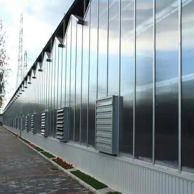 Agricultural intelligent Glass Greenhouse vegetables flowers PC board greenhouse Venlo style