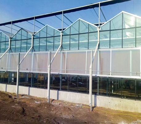 Sainpoly Agriculture greenhouse frame Venlo type Polycarbonate Glass greenhouse for seeds vegetables hybrid tomato